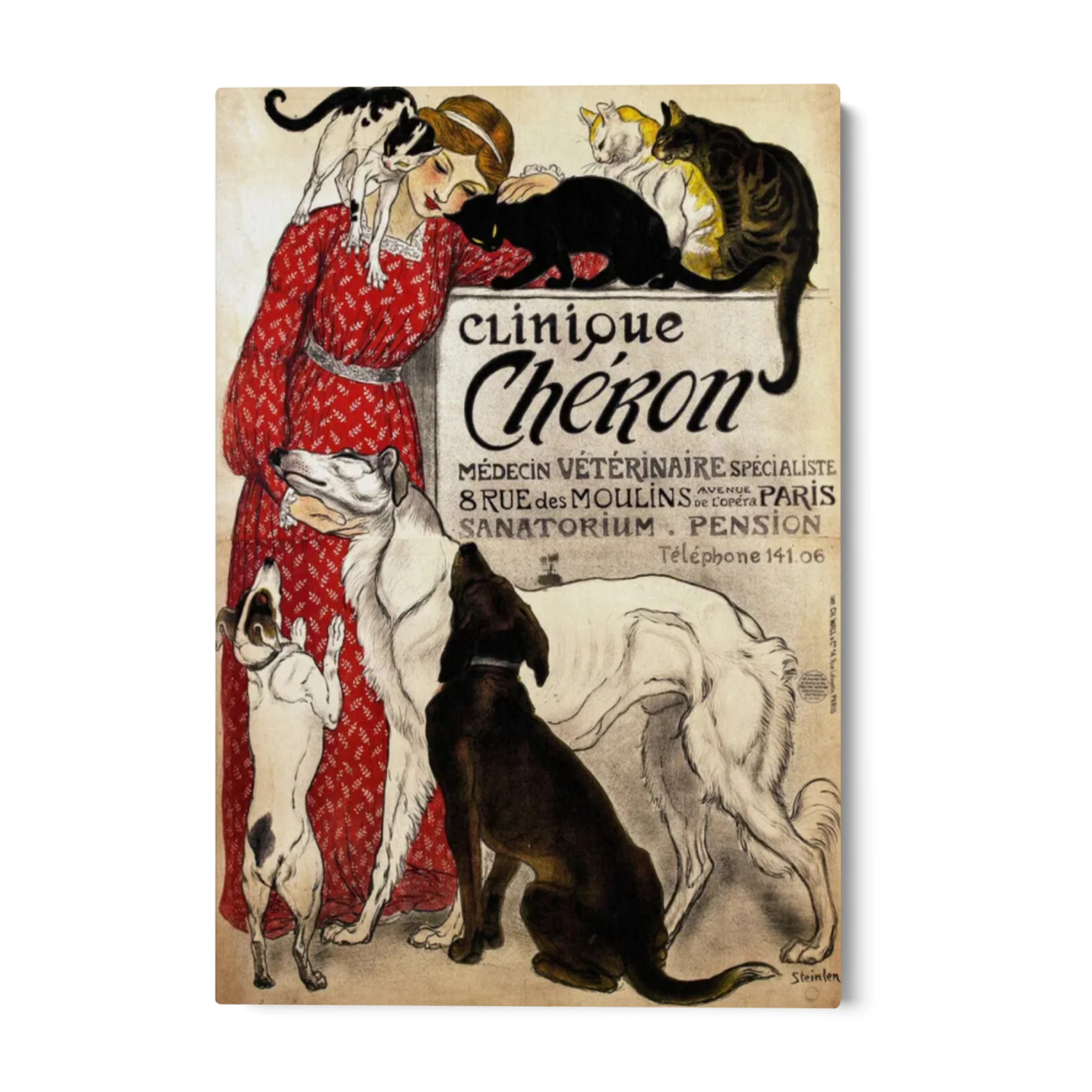 Clinique Chéron, Théophile Steinlen - Image 4