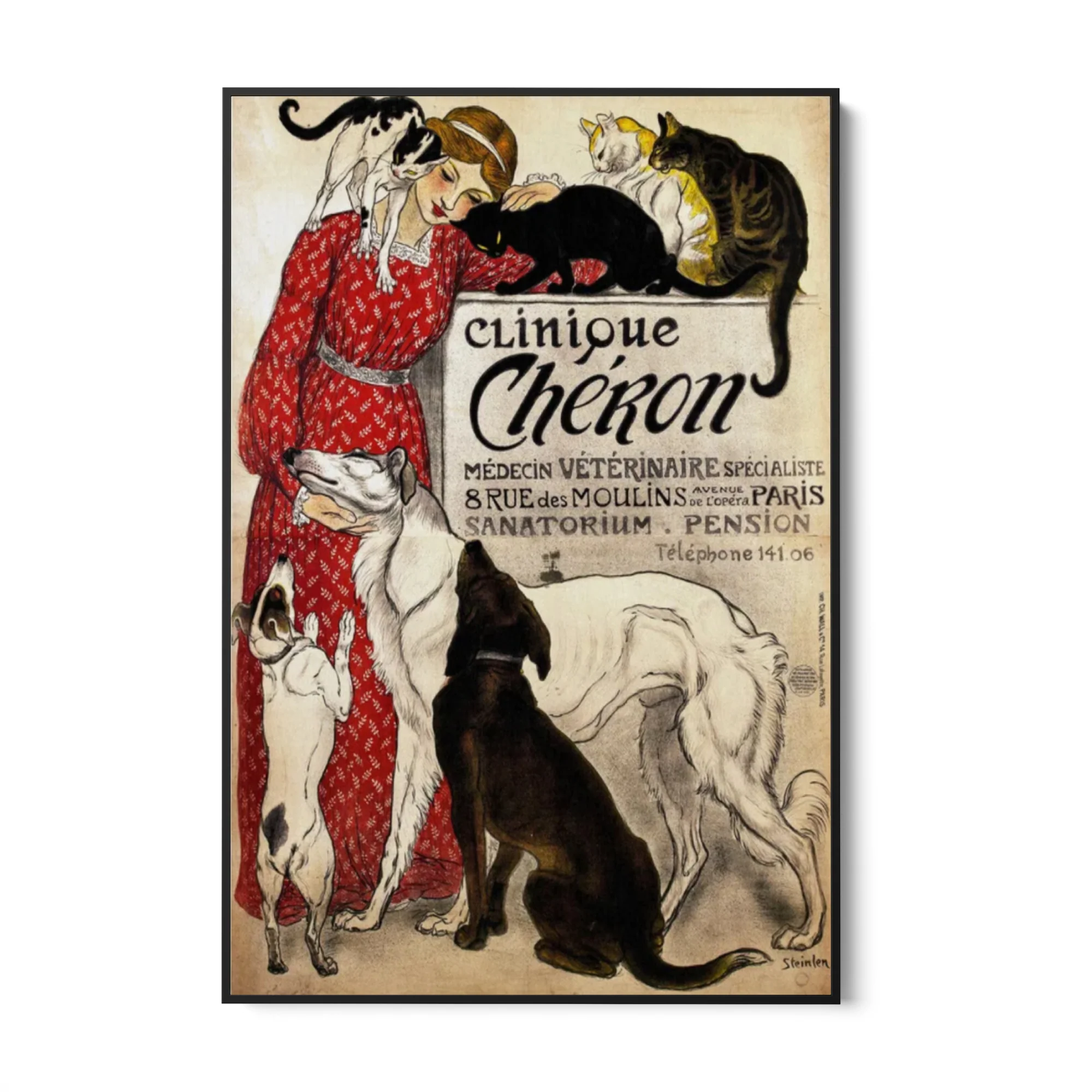 Clinique Chéron, Théophile Steinlen - Image 5