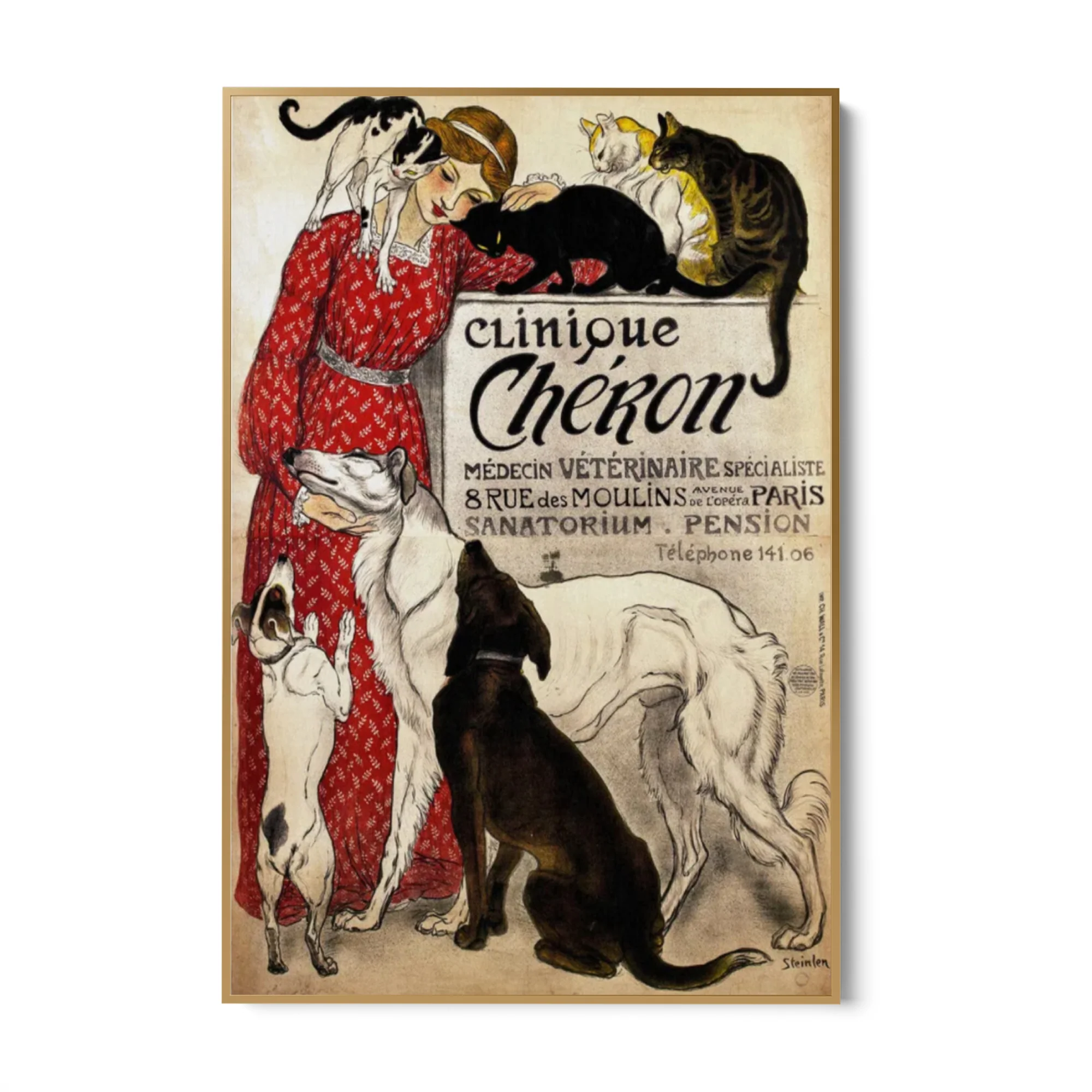 Clinique Chéron, Théophile Steinlen - Image 6
