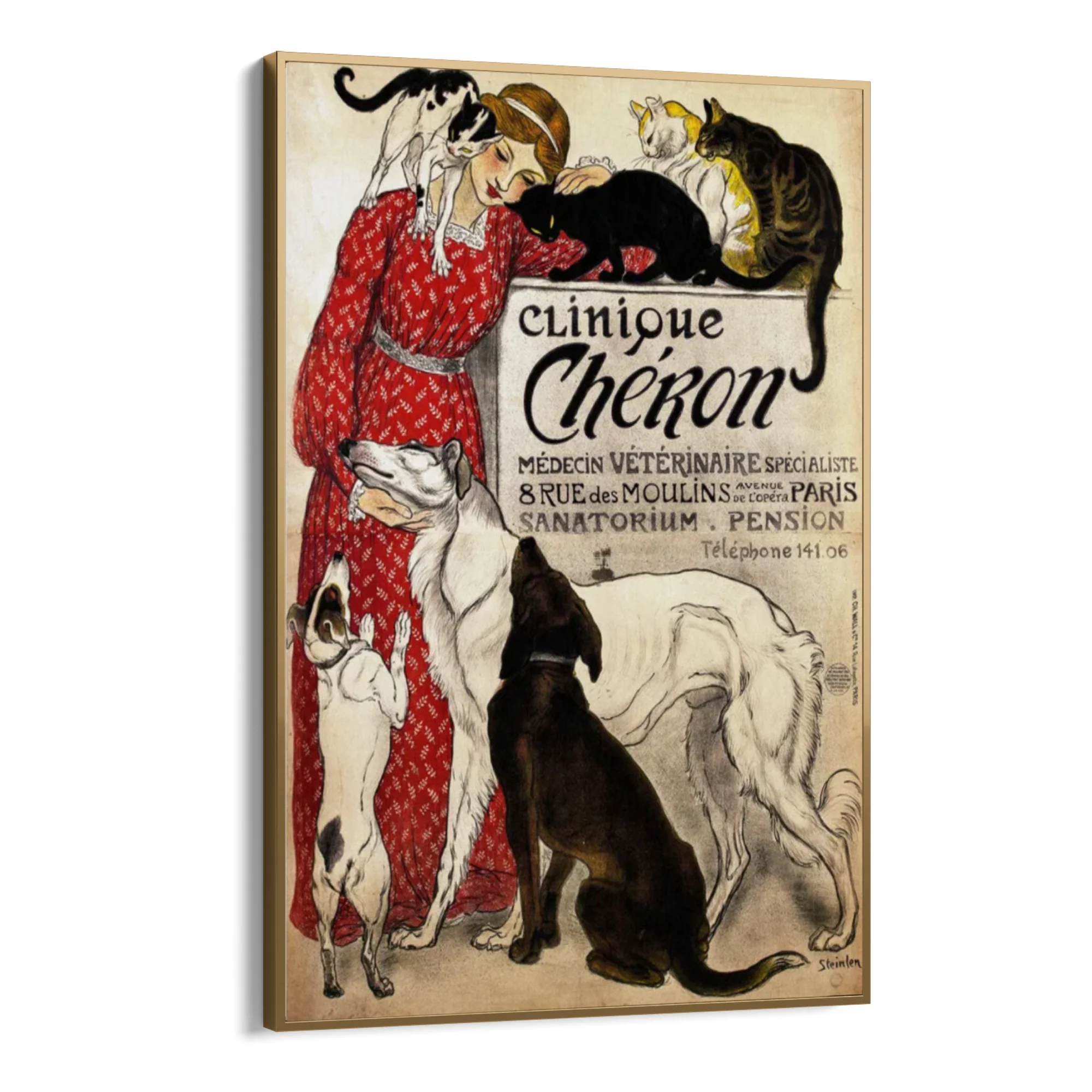 Clinique Chéron, Théophile Steinlen - Image 7