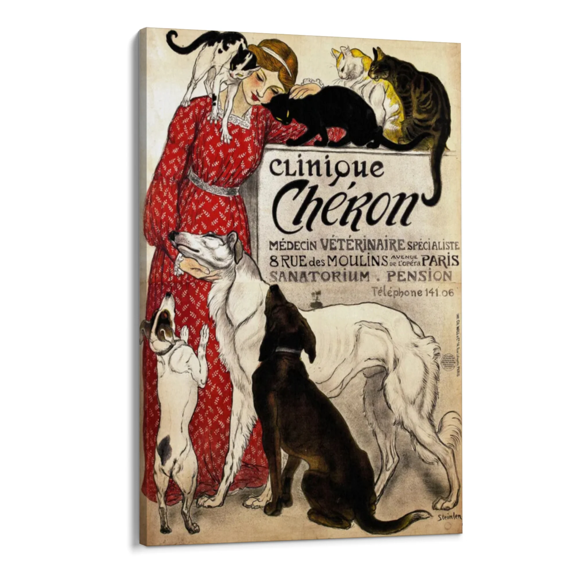 Clinique Chéron, Théophile Steinlen - Image 8