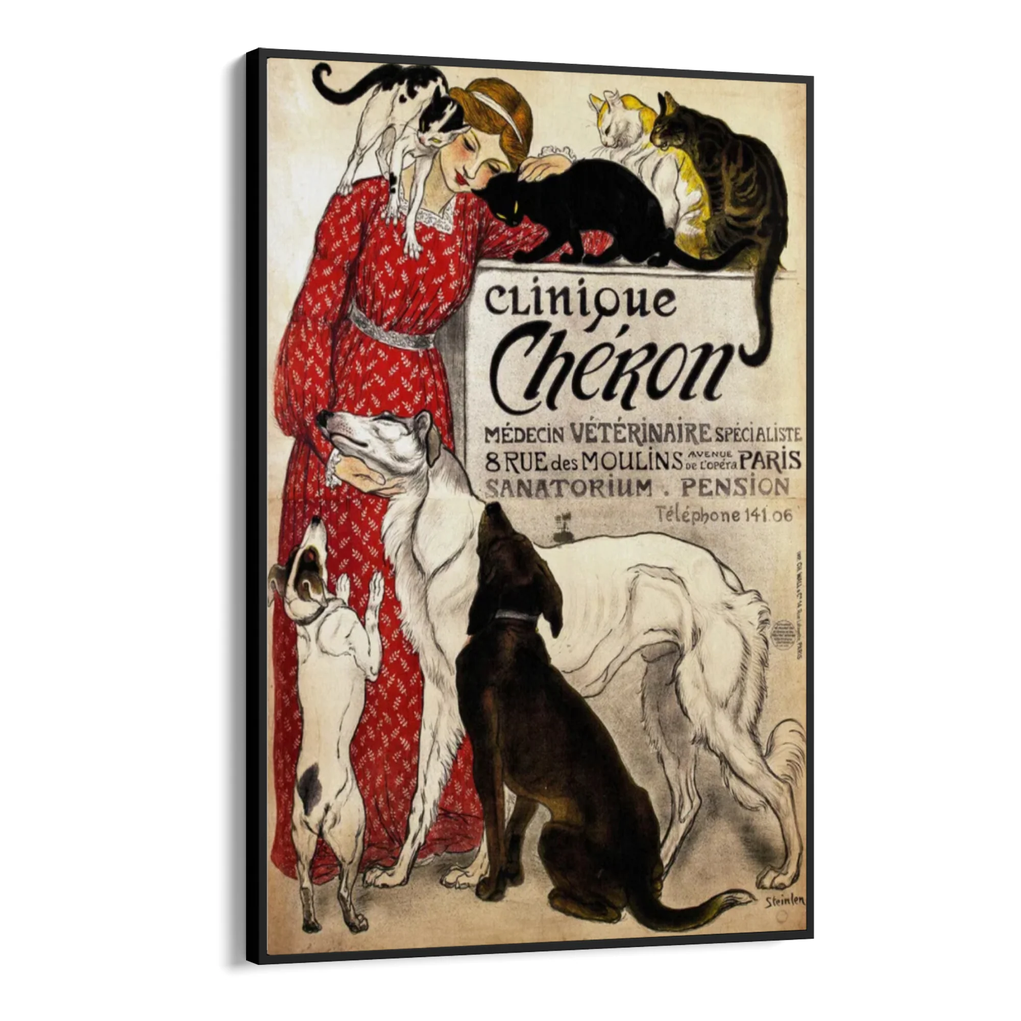 Clinique Chéron, Théophile Steinlen - Image 9