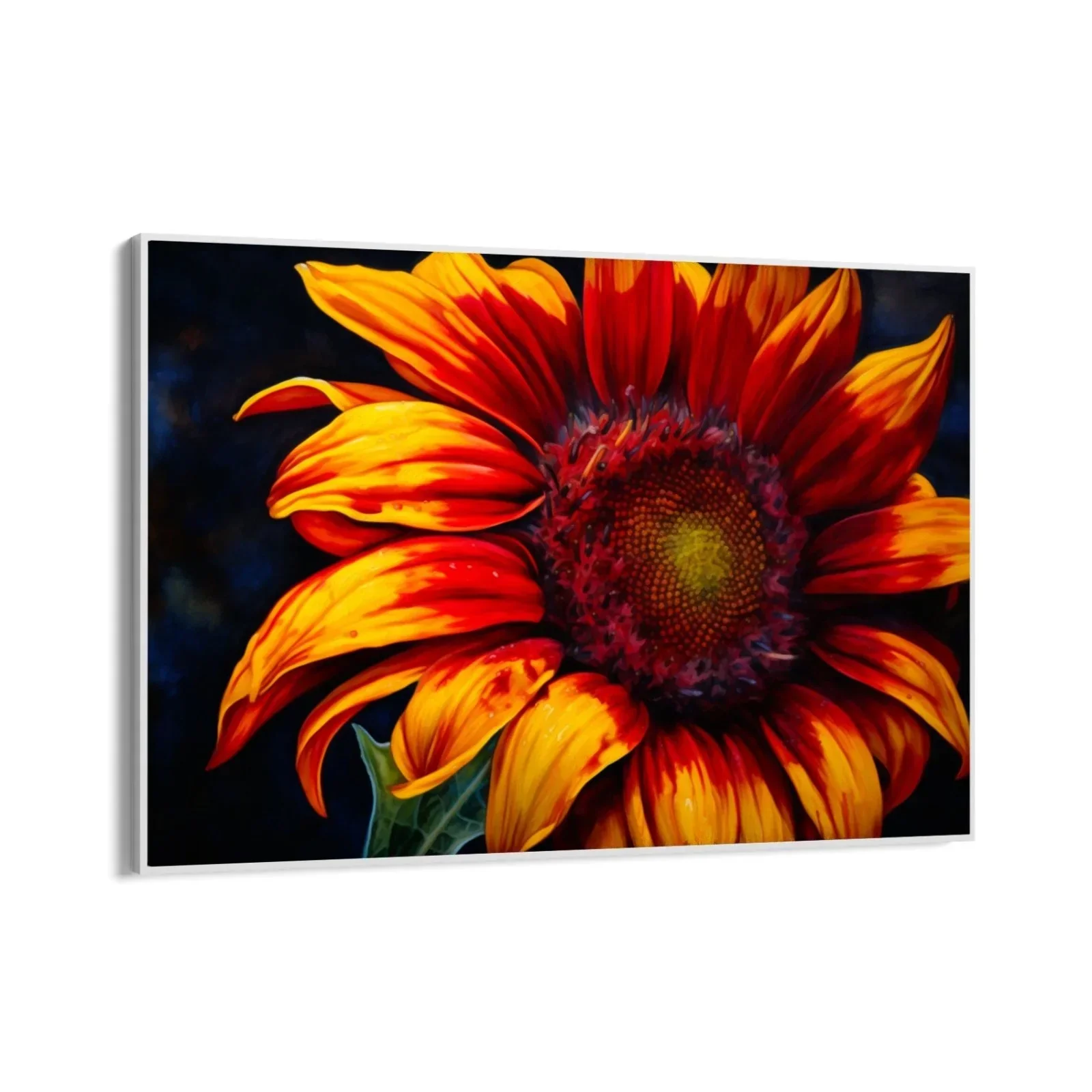 Eterno girasole - Image 11