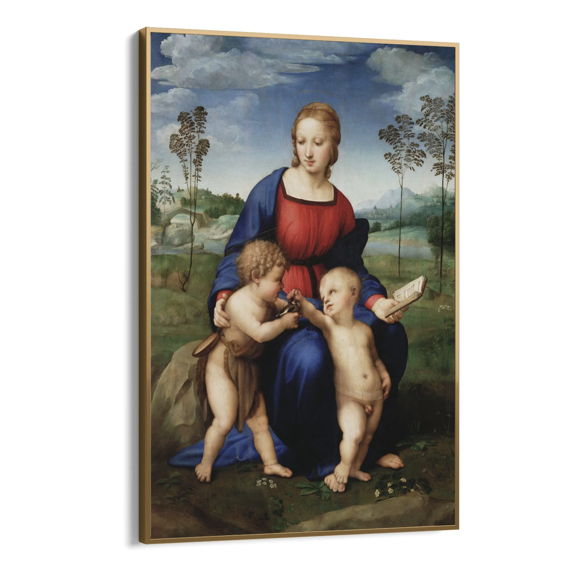 Madonna del Cardellino, Raffaello Sanzio - Image 10