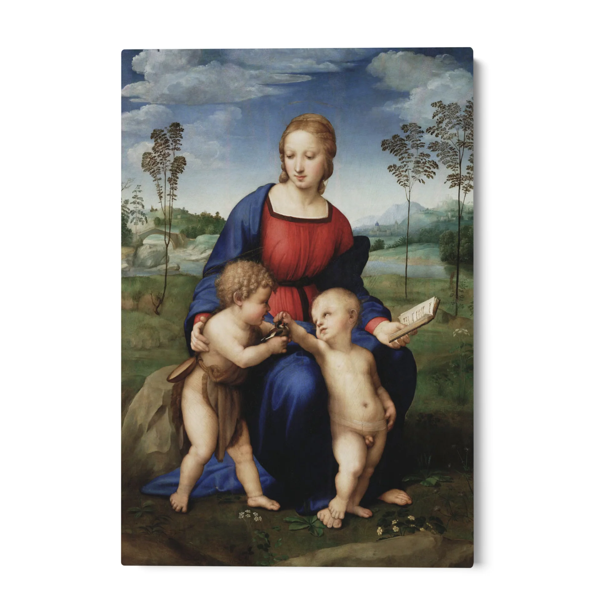 Madonna del Cardellino, Raffaello Sanzio - Image 4