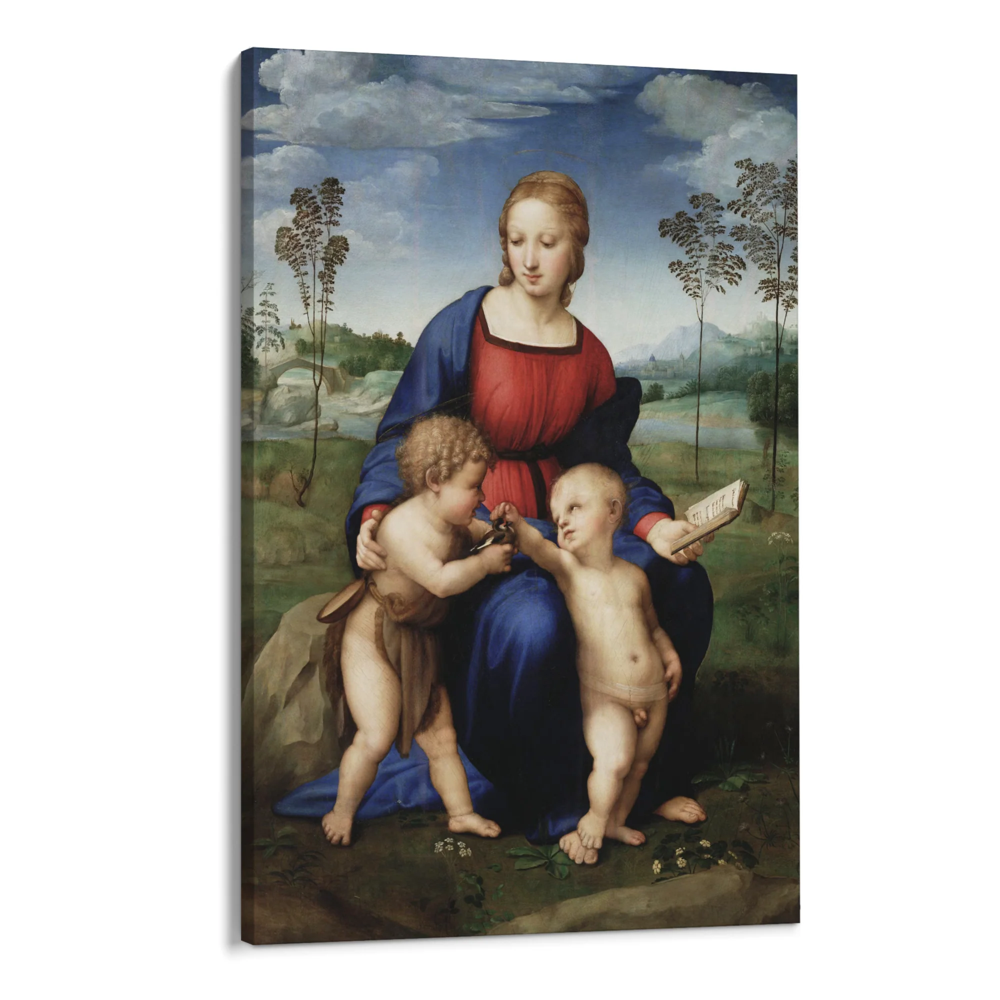 Madonna del Cardellino, Raffaello Sanzio - Image 8