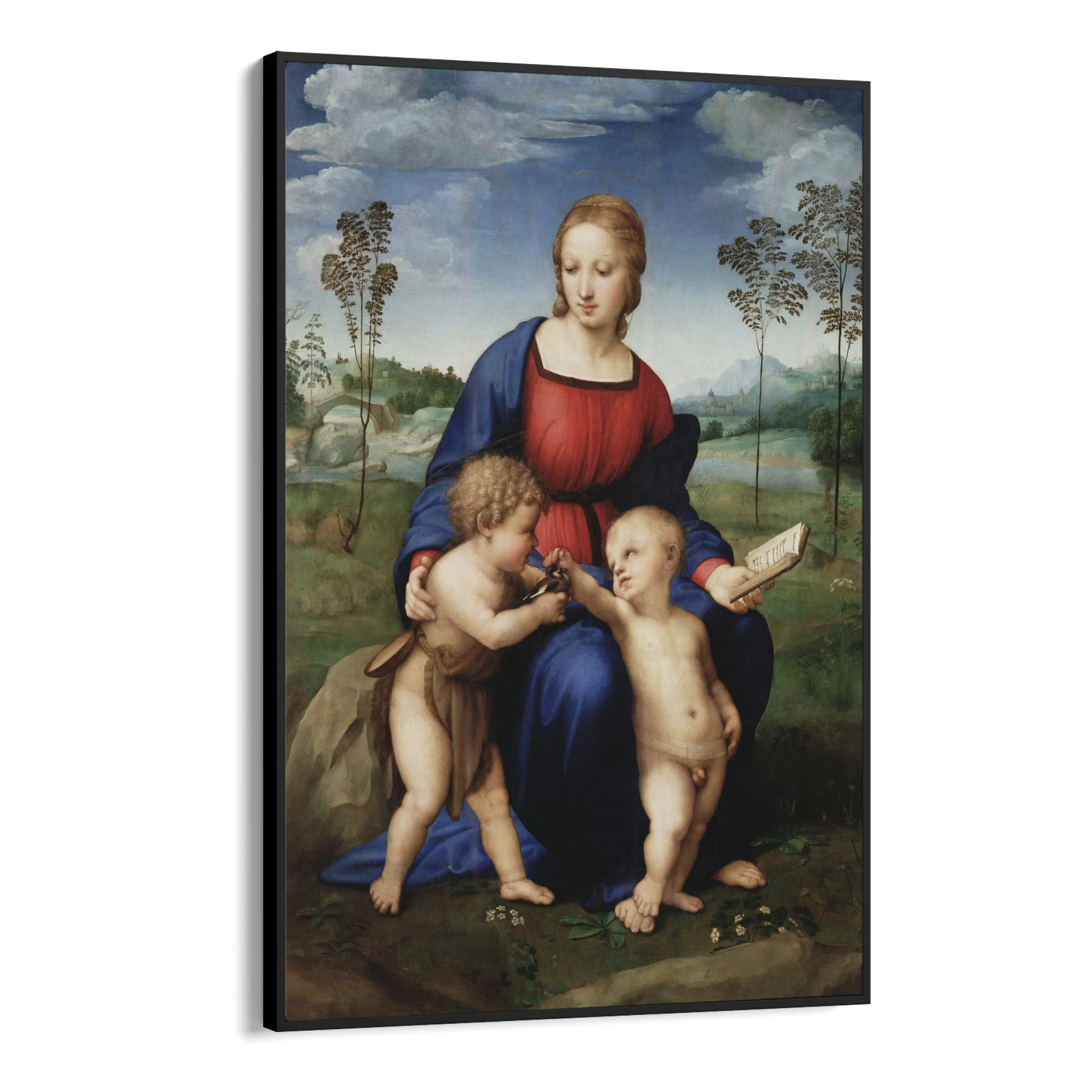 Madonna del Cardellino, Raffaello Sanzio - Image 9