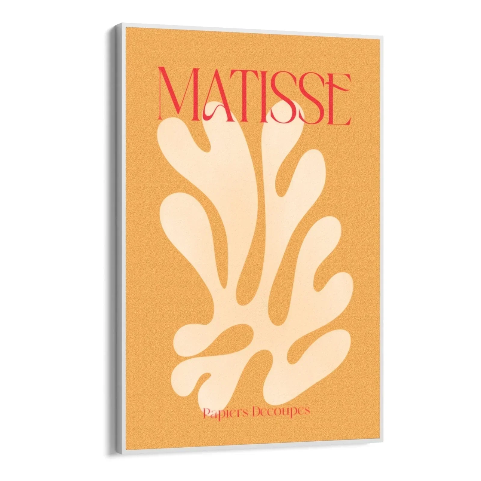 Matisse Orange - Image 11