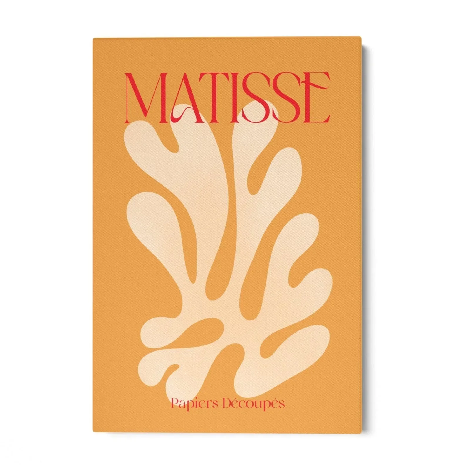 Matisse Orange - Image 4