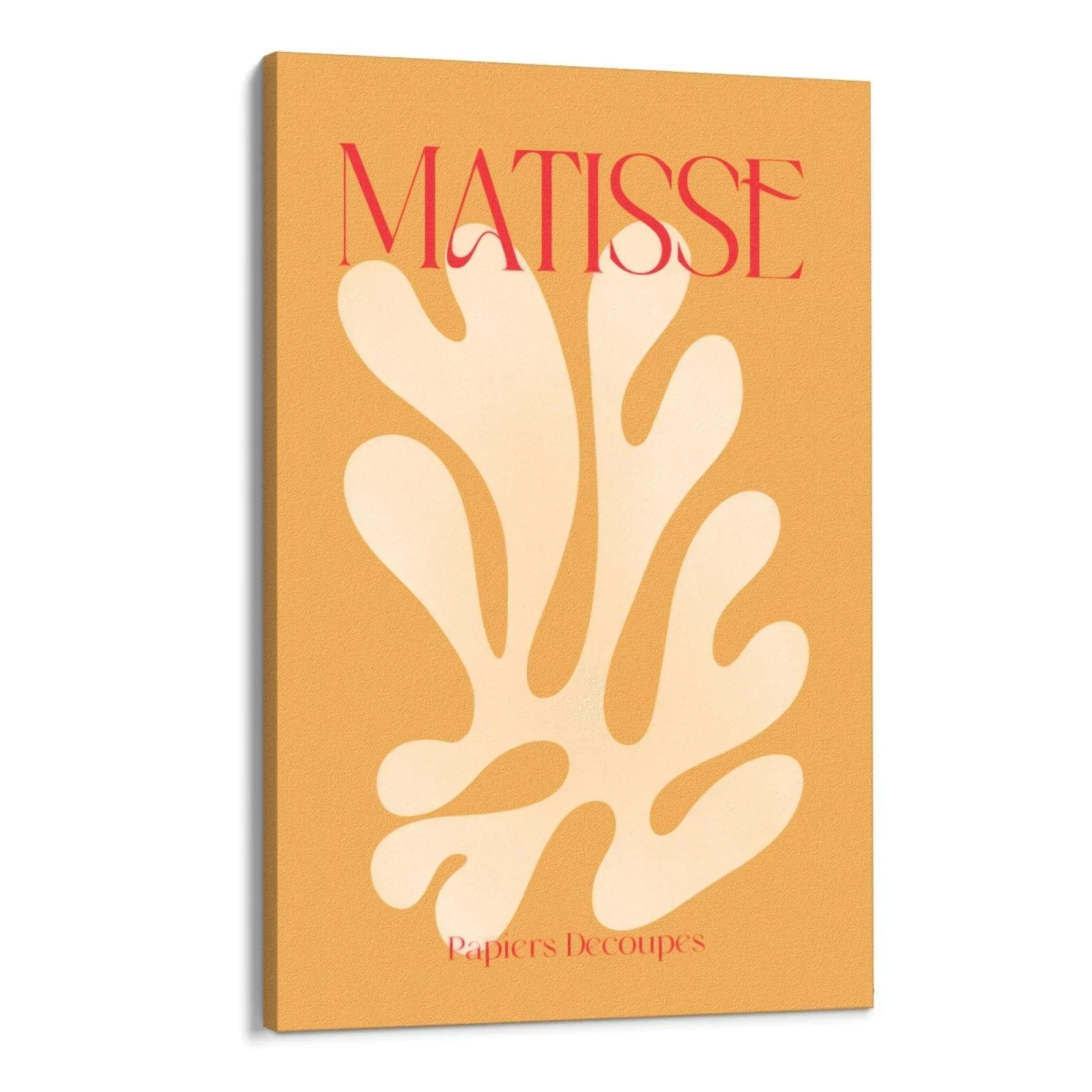 Matisse Orange - Image 5