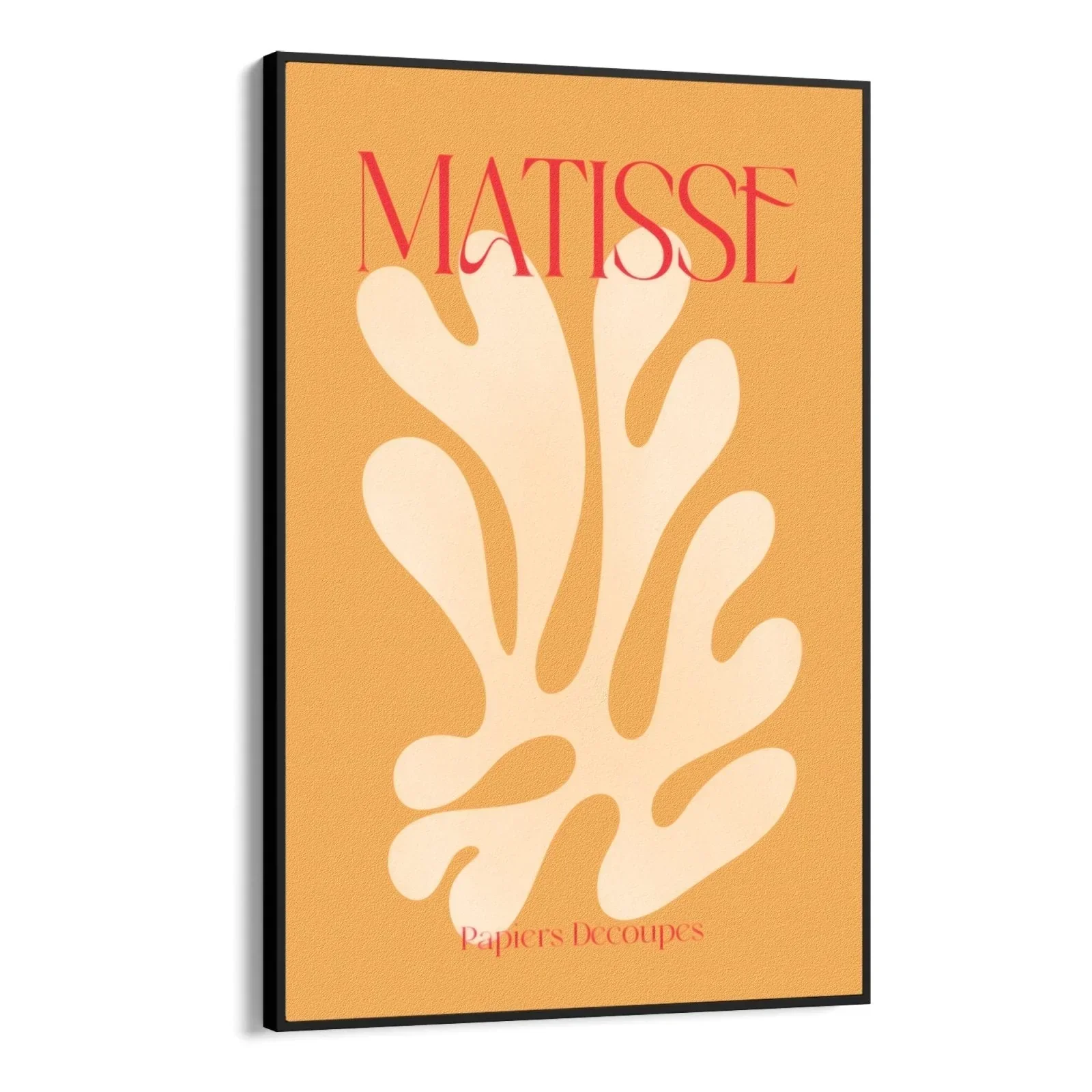 Matisse Orange - Image 7