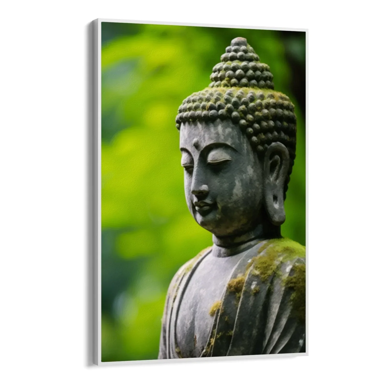 Meditazione nella Natura - Image 10
