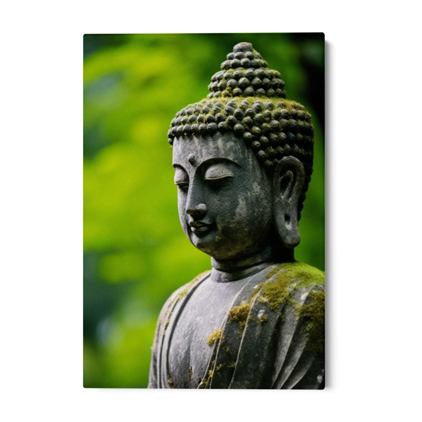Meditazione nella Natura - Image 3
