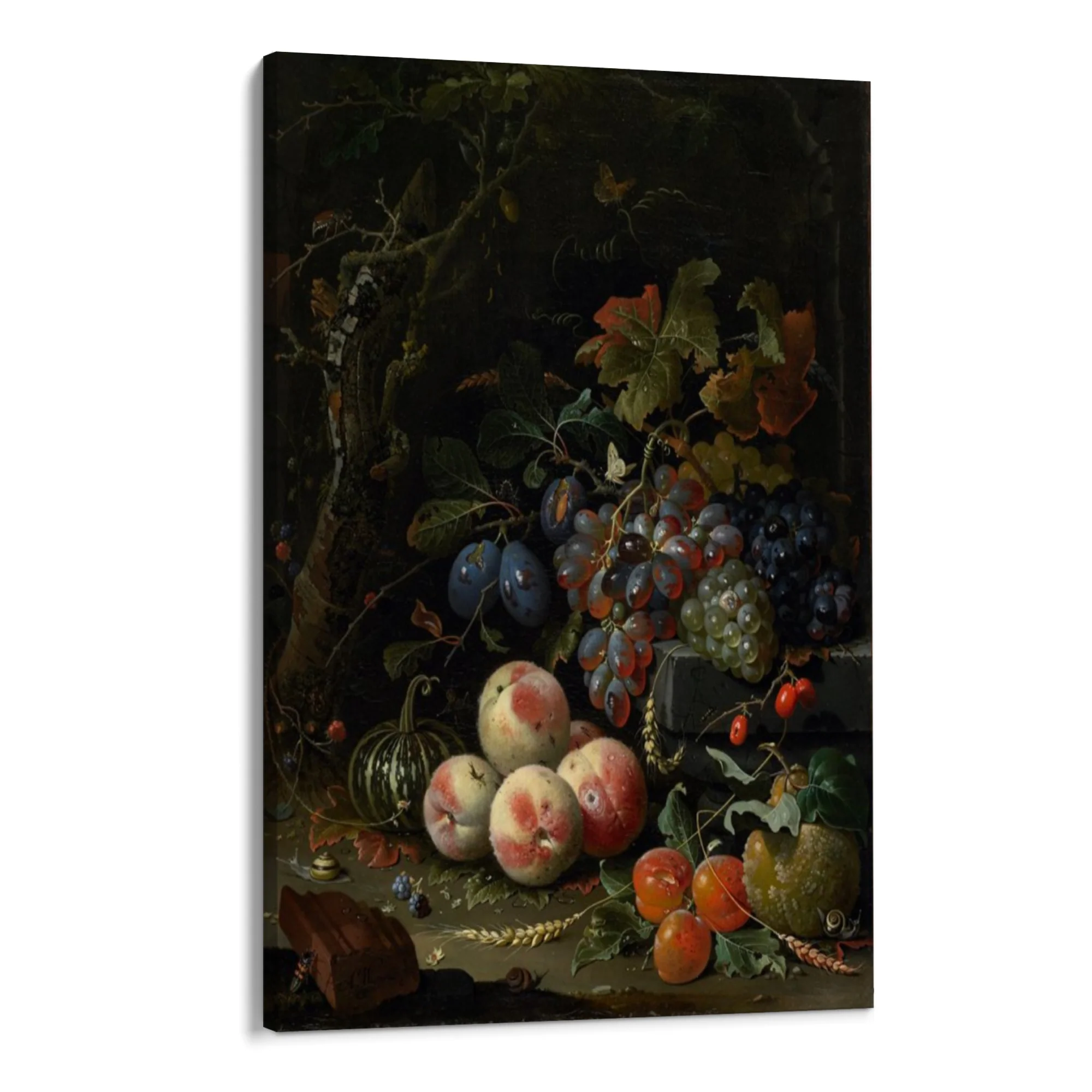 Natura morta, Abraham Mignon - Image 8
