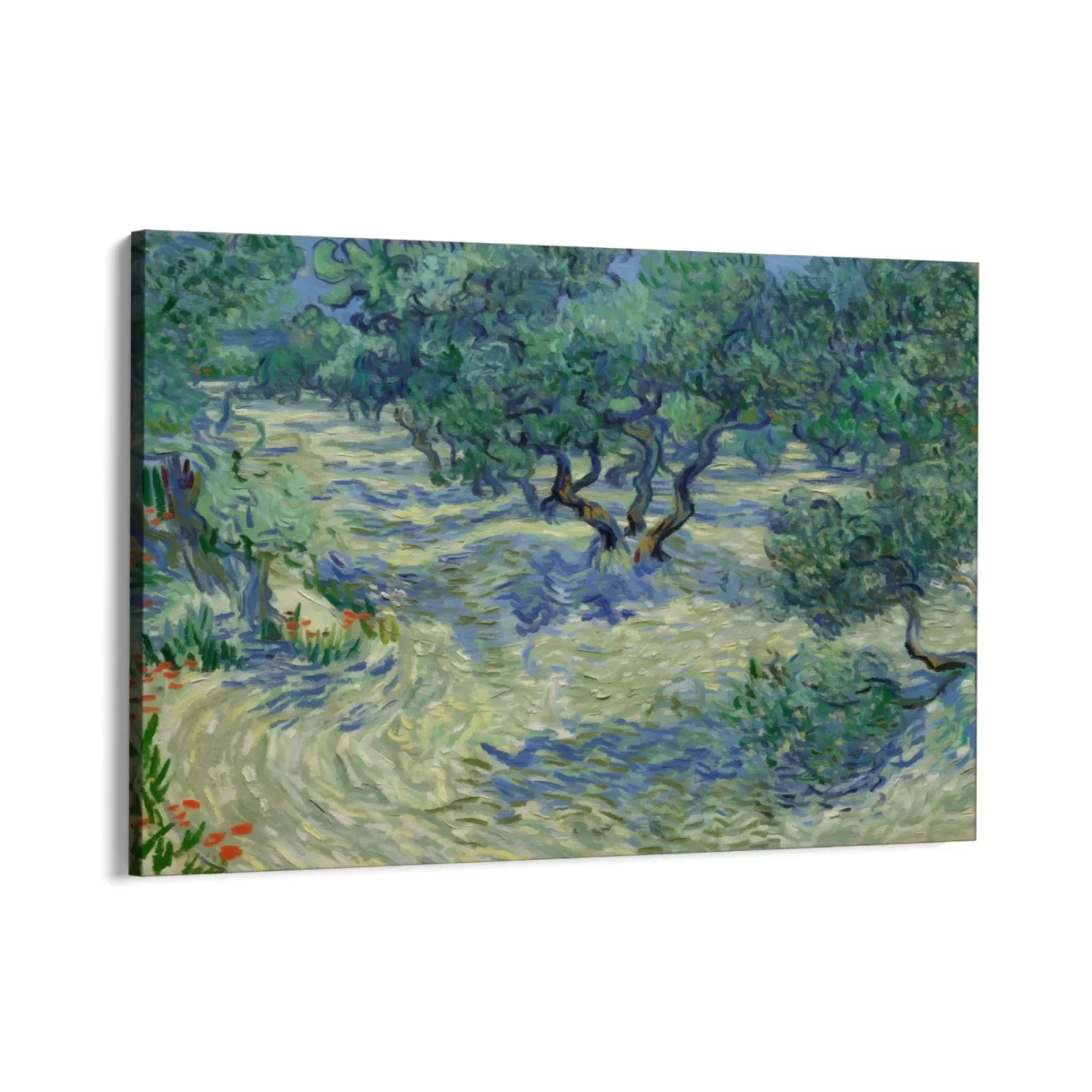 Olive Orchard 1889, Vincent Van Gogh - Image 5