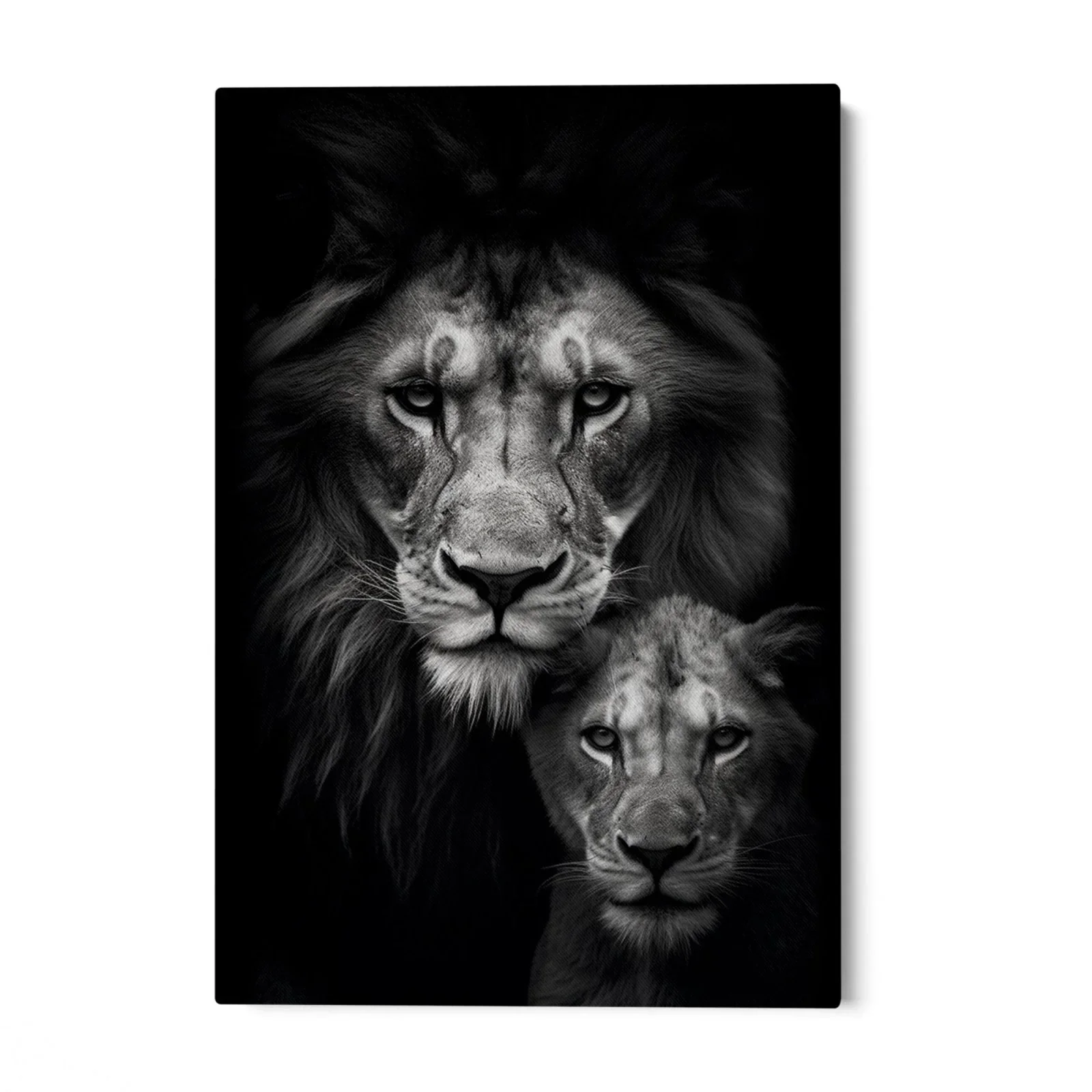 Re e principe - Image 3