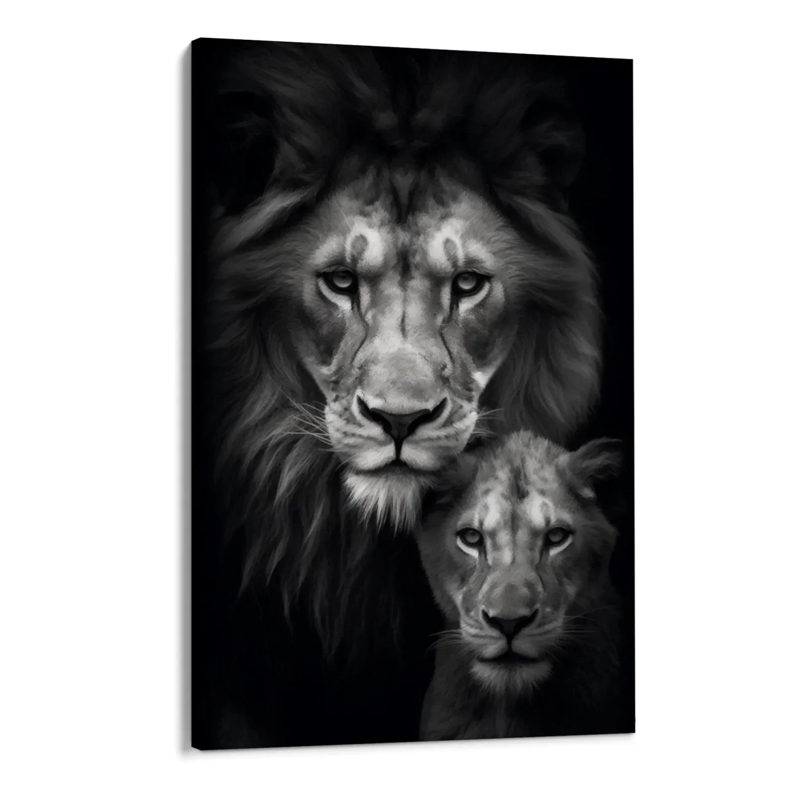 Re e principe - Image 4