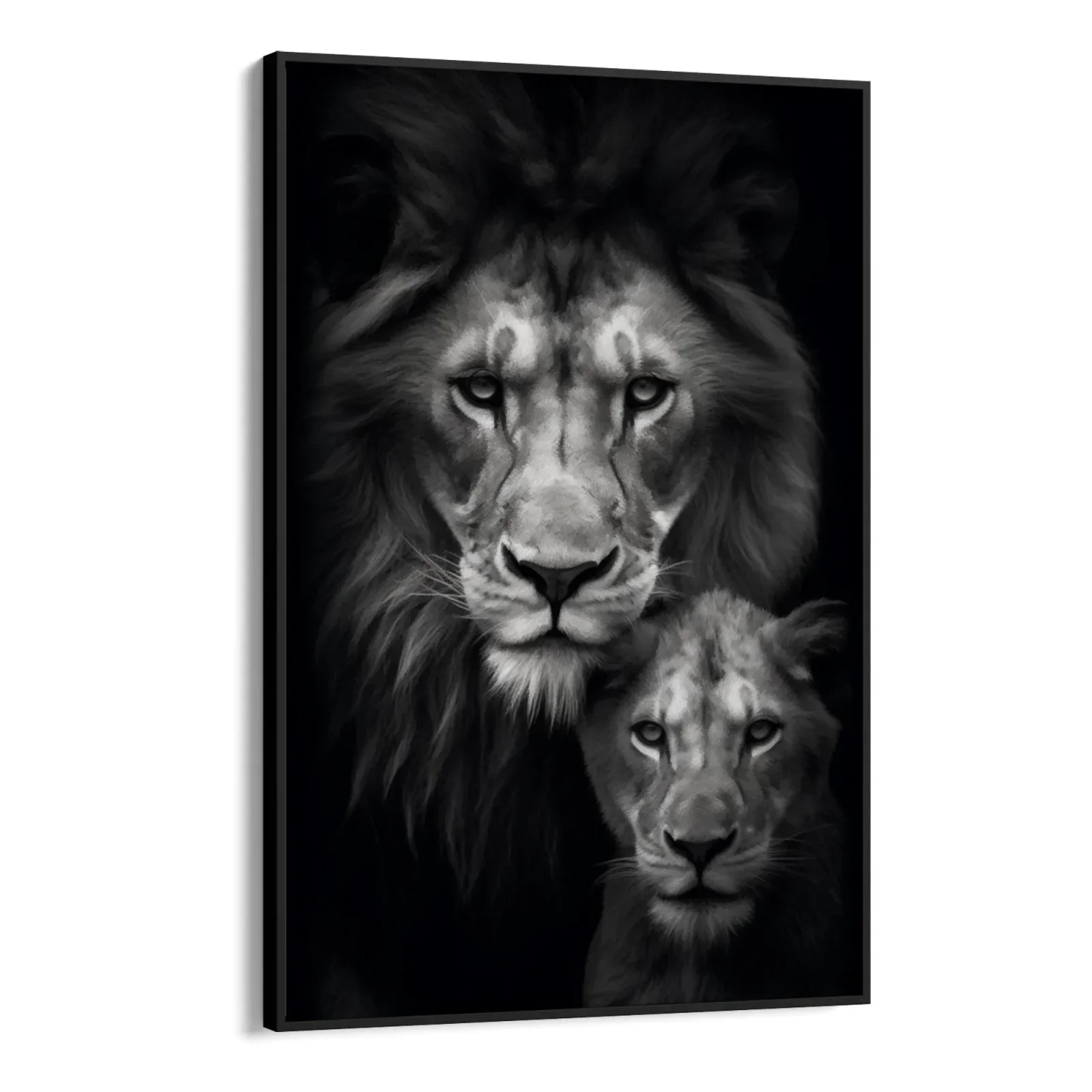 Re e principe - Image 6