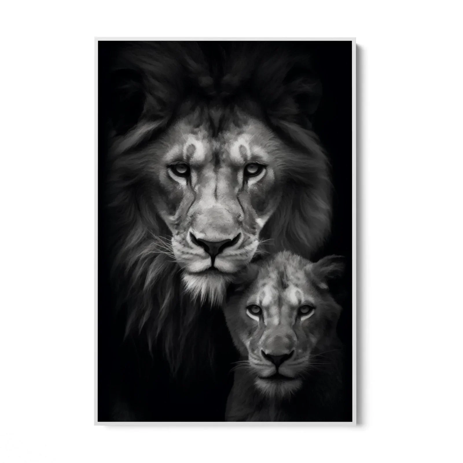 Re e principe - Image 9